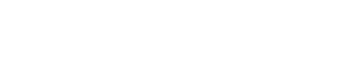 BridgePay
